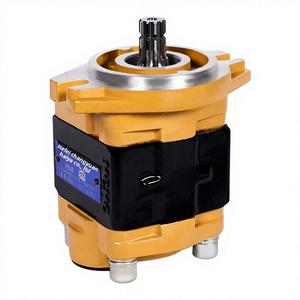Bomba de Engranajes Hidráulica Serie CBHZ CBHZG, Modelos CBHZ-F23, CBHZ-F25, CBHZ-F28, CBHZ-F30, CBHZ-F32, CBHZ-F36, Construcción de Hierro Fundido y L - Product Image 1