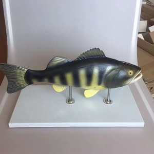 <span class=keywords><strong>Anaimal</strong></span> Medizinische Fisch anatomisches modell, Fisch anatomie modell, Fisch dissektion modell - Product Image 4