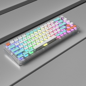 New Custom Russian Layout 60 Percent ABS Doubleshot Pudding Transparent Keycaps Red Switch RGB Backlight <b>USB</b> Mechanical <b>Keyboard</b> - Product Image 5