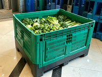 Bac de stockage pliable en plastique ventilé pour fruits, 1200x1000x760 mm, grand format, durable, en PEHD