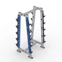 Support de rangement horizontal robuste pour haltères, capacité 10 barres, usage commercial