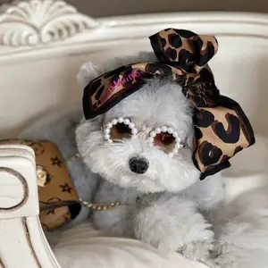 Óculos de sol elegante com proteção solar, acessórios elegantes e legais para animais de estimação, cachorro, gato