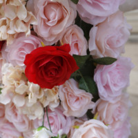 Panneau mural personnalisé en rose de soie blanche 3D pour décoration de mariage rangée de fleurs artificielles enroulable de rouge décoration de fond de scène mur de fleurs roses