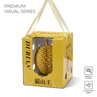 Boîte cadeau portable personnalisée pour durian, boîte d'emballage pour fruits en carton ondulé, exclusivement pour les magasins de fruits
