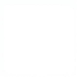 Accélérateur de durcissement C-S-H Xystone S7044 100% pureté Réactifs généraux - Product Image 6