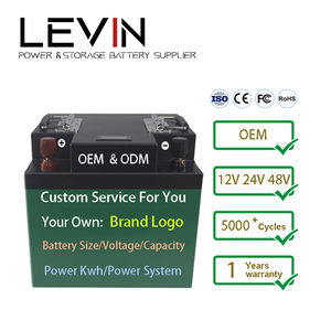 Литий-железная аккумуляторная батарея Lifepo4, 12 В, 100 А/В, легкий вес, 12 В, 100 ах, батарея Lifepo4, длительный срок службы для Rv Camper - Product Image 6