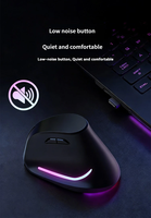 Souris verticale ergonomique rechargeable portable RGB, double mode, sans fil Bluetooth, pour ordinateur portable