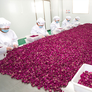 Natürliches Rosen-Ätherisches Körpermassageöl - Feuchtigkeitsspendend Aufhellend Verbessert die Durchblutung Entspannend für Alle Hauttypen Export-Bestseller - Product Image 3