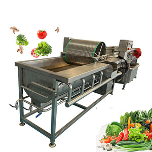 Sistema de Lavado Industrial, Máquina de Lavado de Frutas y Verduras por Corrientes de Foucault, Máquina de Limpieza de Verduras de Hoja, Jengibre y Manzanas - Product Image 1