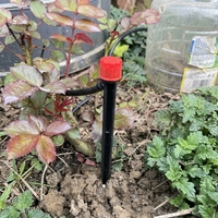 Micro-asperseur sur piquet à longue tige avec buse surélevée pour cultures de fruits et légumes de grande hauteur en serre