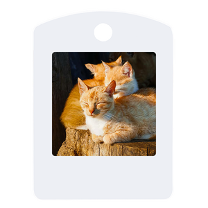 Electronic <strong>E</strong>-ink Screen Electronic <strong>Paper</strong> Portable Mini Smart Anti-lost Device Positioning Label Manufacturer <strong>Price</strong> Discount - Product Image 4