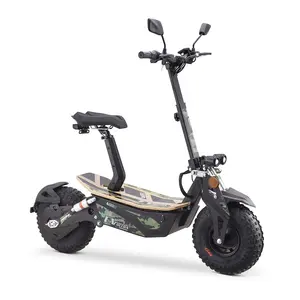 CITYGREEN scooter elettrico pieghevole 20ah batteria al litio EV Ultra scooter