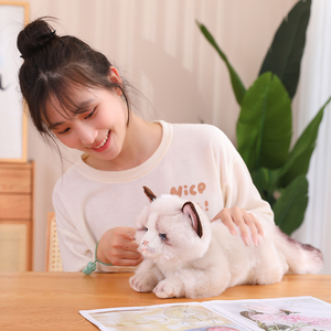 ตุ๊กตาสัตว์น่ารักเหมือนจริงสำหรับลูกสุนัขปอมเมอเรเนียนของเล่นสุนัขของขวัญวันครบรอบปรับแต่งได้สำหรับเด็กผู้หญิงและเด็กผู้ชาย16นิ้ว - Product Image 1