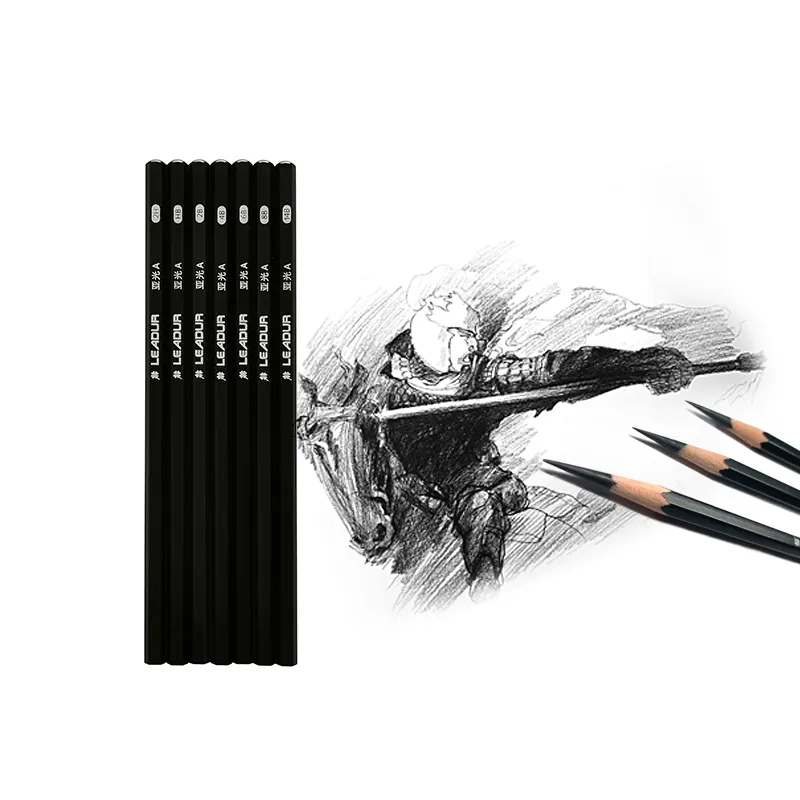 Profissional 2H/HB/2B/4B/6B/8B/14B 6pcs lápis fosco antirreflexo lápis esboço conjunto personalizado Matte madeira preto lápis