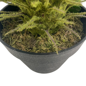 Bán Buôn Lớn Bất Cảm Ứng Giả Nhựa Nhân Tạo Monsteras Cây Màu Xanh Lá Cây Tường Bonsai Ngoài Trời Tre Trang Trí Nội Thất Văn Phòng Cảnh Quan - Product Image 6