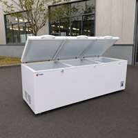 Réfrigérateur commercial en acier inoxydable, vente directe usine, congélateur coffre ouvert pour supermarché, congélateur profond