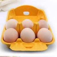 Carton à œufs en pulpe moulée personnalisé avec couvercle, plateaux à œufs en carton colorés