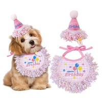 Offre Spéciale : Ensemble d'accessoires pour animaux de compagnie en polyester, style Instagram, pour fête d'anniversaire, comprenant bavoir brodé, serviette, nœud papillon, bandana et chapeau pour chien et chat
