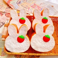 Jouet Squishy en PU à Rebond Lent en Forme de Lapin pour Jeunes Atteints de Dystonie Musculaire, Jouet Alimentaire Populaire sur Xiaohongshu