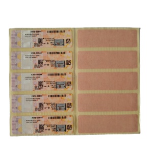 Licenza Software OEM con 6 Mesi di Garanzia, 25 Codici OS, Attivazione Online, Etichetta Rosa per Win 11 Home, Chiave COA, Adesivo Internet - Product Image 1