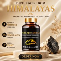 Capsules de Shilajit en marque blanche OEM 600mg, Complément alimentaire à base de plantes, Sans OGM, Sans gluten, pour adultes, Bien-être quotidien, Exportation