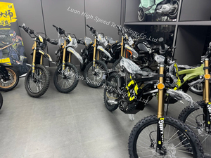Motocicleta Todoterreno Ultra 2026 Actualizada, 24.5kW de Potencia, Batería Extraíble de 74V 60Ah, Venta al Por Mayor - Product Image 4