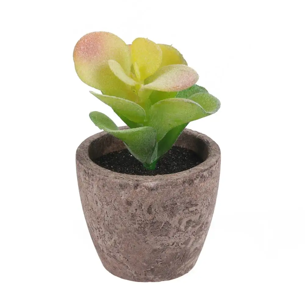 Plantes de Cactus succulentes artificielles, pour l'intérieur, avec Pot en plastique, bonsaï Succulent en Pot, vente en gros, 7 pièces