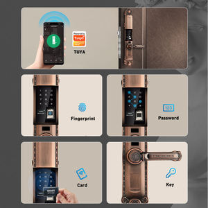 Cerradura de Lujo con Clasificación IP65, Aplicación Tuya Wi-Fi y Reconocimiento de Huella Dactilar, Tarjeta de Código para Cerradura Inteligente K666 - Product Image 6