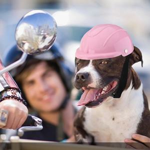Multi-Sport Outfit Pet Safety Cat Dog Hat Hard Riding Hat Plastic Adjustable Bicycle <span class=keywords><strong>Protection</strong></span> Dog Motorcycle Helmet - Product Image 2