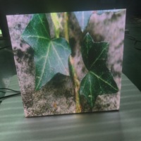 Módulo de Pantalla LED RGB a Todo Color para Exteriores P3 P6 192x192, Pantalla de Video Wall, Panel Publicitario, Letrero, Pantallas Totem Mupis