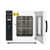 High Precision Electric Blast Drying Oven Laboratory Equipment Material Testing Machine Professional Testing Instruments