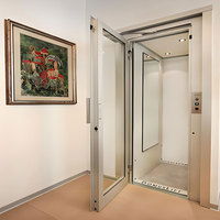 Hot Sale Modernes Design Kleiner automatischer Personen aufzug Preis Home Aufzug mit automatischer Tür