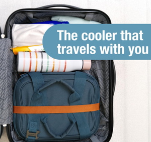 Isolierte Kühltasche Auslaufs icherer, weicher Falt kühler für Strand, Reisen, Auto - Product Image 6