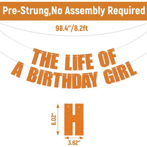 New Arrival The Life of a Birthday Girl <b>Banner</b> Gold Showgirl Birthday <b>Banner</b> Showgirl Themed Bday <b>Party</b> Decorations - Product Image 3