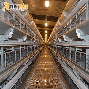 Poulailler de conception optimale, ferme avicole à batterie entièrement automatique, <span class=keywords><strong>cage</strong></span> à poulets à vendre - Product Image 5