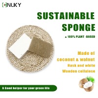 Éponge de cuisine en fibre de coco et pulpe de bois, blanche, poreuse, avec couche abrasive marron, pour le lavage de la vaisselle sans rayures