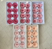 Lovebay Tête de Fleur Naturelle Faite Main, Tête de Rose Éternelle Séchée et Préservée pour la Fête des Mères, la Saint-Valentin, la Remise de Diplômes, le Nouvel An
