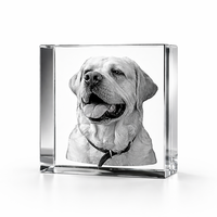Machine de gravure 3D IPS-LUV5W pour verre, acrylique, cuir, marquage sous-surface au laser UV CNC avec haute précision