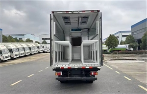 <span class=keywords><strong>Camion</strong></span> de transport de poussins <span class=keywords><strong>d</strong></span>'un jour 4x2 LHD, pour poussins vivants, à vendre au Pérou - Product Image 5