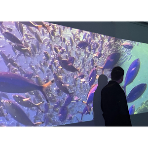 Cá Trong Thế Giới Dưới Nước 3D Rạp Hát Tại Hệ Thống Phim Tiền Movie Hệ Thống Nhà Cung Cấp Với Khác Nhau Màn Hình Dẫn Và Chiếu Nội Dung - Product Image 5