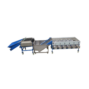 Roller Type Fruit Sorting Machine mango Fruit Sorting Machine Price Apple Orange Grading Machine - Product Image 2