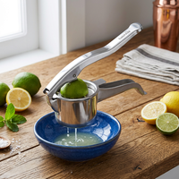 Presse-agrumes manuel en acier inoxydable argenté pour citrons et agrumes, écologique et personnalisable, pour fruits et légumes