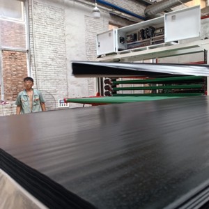 Migliore qualità 18mm legno impiallacciatura di <span class=keywords><strong>betulla</strong></span> e pioppo legno compensato con colla WBP categoria Premium prodotto - Product Image 2
