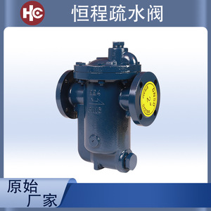 Trampa de Vapor Tipo Cubeta 994 PN16 de Hierro Dúctil con Brida Invertida para Intercambiador de Calor - Product Image 5