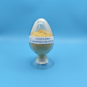 Fabrieksdirect Chitosan OligosaccharideNY voor biologische meststof in de landbouw - Product Image 5