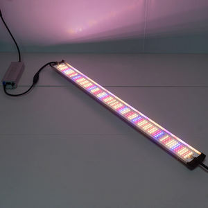 Cinta de tira de luz <span class=keywords><strong>LED</strong></span> para <span class=keywords><strong>cultivo</strong></span> de Phyto Lamp de espectro completo para semillas de invernadero de interior <span class=keywords><strong>Cultivo</strong></span> Flor de planta hidropónica - Product Image 5