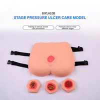 Modèle anatomique pour le soin des escarres - Quatre étapes cliniques, facilement remplaçable, en PVC avancé, pour la formation réaliste aux sutures médicales