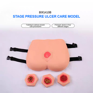 Modèle anatomique pour le soin des escarres - Quatre étapes cliniques, matériau PVC facile à remplacer, pour la formation des infirmières dans les écoles de médecine - Product Image 2