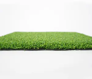 Duurzaam Hoge Kwaliteit Achtertuin Cricket Voetbalveld Kunstgras Grasgras Gazon