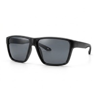 Lunettes de soleil polarisées pour la pêche pour hommes, monture TR90, protection UV, sports de plein air, voyage, mode